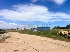 Ferma agricola premium , judet CONSTANȚA |  2.000 HA - imagine 2