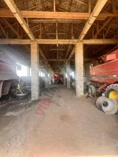 Ferma agricola premium , judet CONSTANȚA |  2.000 HA - imagine 5