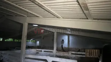 Ferma zootehnica mixta de VANZARE SAU INCHIRIAT in judetul Vrancea - imagine 7
