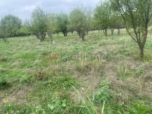 Ferma zootehnica mixta de VANZARE SAU INCHIRIAT in judetul Vrancea - imagine 2