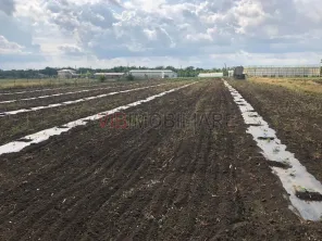 Fermă de vânzare 3 ha ,Exploatație agricolă și zootehnică - imagine 2