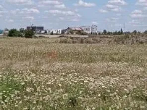 Teren industrial , Timișoara. Autorizație de construire inclusă - imagine 8