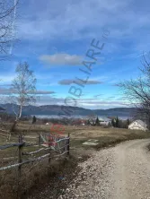 Zarnesti - Bran , 1000 mp intravilan,puz p+4, - imagine 4