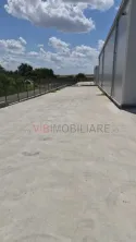 Hale de închiriat, proprietar persoană fizică, zona FNC - Bragadiru. - imagine 7