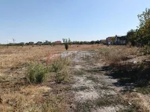 OPORTUNITATE DE INVESTIȚIE – PISCHIA, JUDEȚUL TIMIȘ - imagine 5