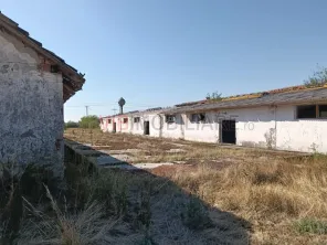 OPORTUNITATE DE INVESTIȚIE – PISCHIA, JUDEȚUL TIMIȘ - imagine 8