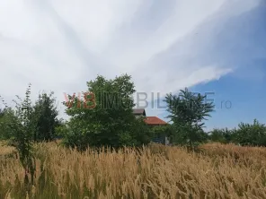 Izvorani - Snagov - Complex COR - zona vile noi - imagine 4