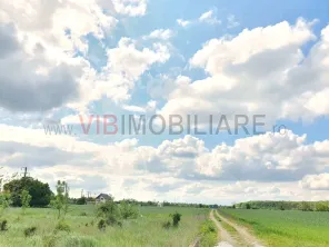 Izvorani, lacul Snagov, in apropiere de padure 2000mp - imagine 3