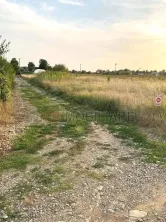 Izvorani, lacul Snagov, in apropiere de padure 2000mp - imagine 4