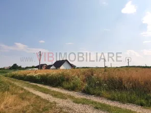 Izvorani, lacul Snagov, in apropiere de padure 2000mp - imagine 2
