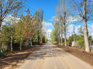 Ciolpani Izvorani cu deschidere la asfalt si toate utilitatile - imagine 3