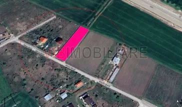 Cornetu - Strada Scolii, teren intravilan, suprafata 2.232 mp - imagine 6