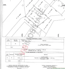 Casa cu 4 camere intabulata in ansamblu cu iesire la lac - Crevedia - imagine 24