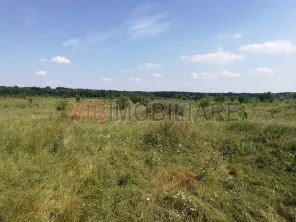 Baneasa - Piscul Reghiului, teren intravilan, suprafata 727 mp - imagine 3