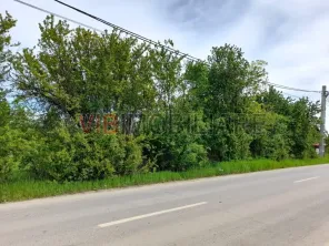 Izvorani, 2500mp deschidere la asfalt, cu toate utilitatile - imagine 2