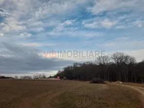 Izvorani, 2500mp deschidere la asfalt, cu toate utilitatile - imagine 4
