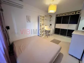 Studio - Floreasca - Verdi - Pescariu - imagine 4