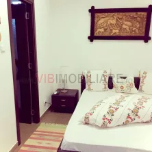 Jurilovca - Strada Izvoarelor, spatiu comercial, suprafata utila 520 mp - imagine 13