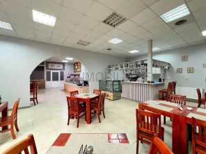Piata GEMENI - Strada Vasile Lascar, vanzare afacere-restaurant - imagine 4