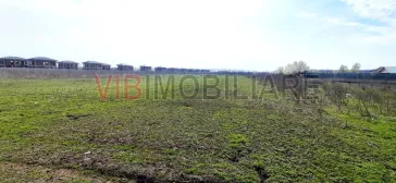 Corbeanca - Tamas, teren intravilan 19.325 mp - imagine 2