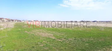 Corbeanca - Tamas, teren intravilan 19.325 mp - imagine 5