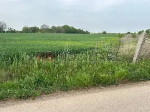 Comuna Dascalu - A0 - teren intravilan 4500 mp - imagine 5