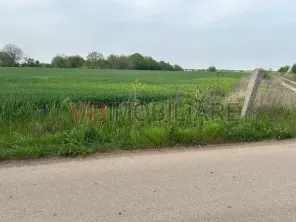 Comuna Dascalu - A0 - teren intravilan 9000 mp - imagine 6