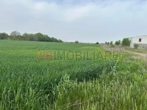 Comuna Dascalu - A0 - teren intravilan 9000 mp - imagine 4