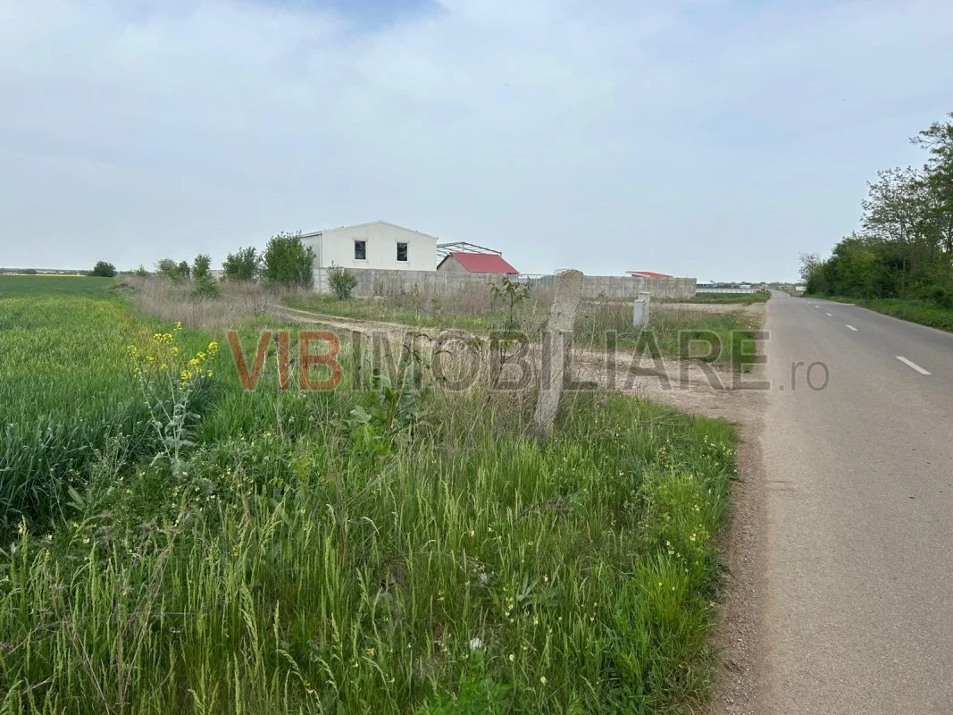 Comuna Dascalu - A0 - teren intravilan 9000 mp - imagine 1