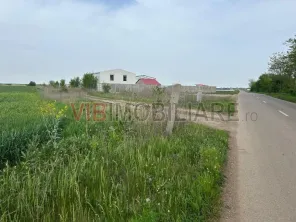 Comuna Dascalu - A0 - teren intravilan 9000 mp