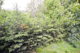 Urlati - Str Eternitatii - Vila 12 camere - teren 1081mp - 2 garaje - imagine 5