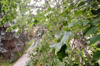 Urlati - Str Eternitatii - Vila 12 camere - teren 1081mp - 2 garaje - imagine 37