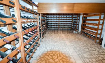 Urlati - Str Eternitatii - Vila 12 camere - teren 1081mp - 2 garaje - imagine 35