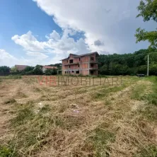 Balotesti - Str. Fieni - teren intravilan 1225 mp langa padure - imagine 5