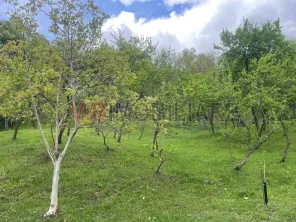 Mihaesti - Sat Draghici, teren intravilan, cu o suprafață generoasă de 7.280 mp - imagine 3