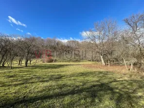 Mihaesti - Sat Draghici, teren intravilan, cu o suprafață generoasă de 7.280 mp - imagine 4