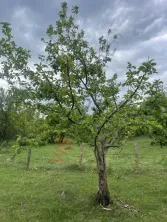 Mihaesti - Sat Draghici, teren intravilan, cu o suprafață generoasă de 7.280 mp - imagine 7