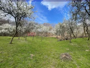 Mihaesti - Sat Draghici, teren intravilan, 7.280 mp - imagine 2