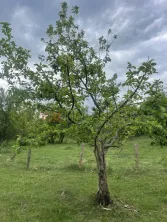 Mihaesti - Sat Draghici, teren intravilan, cu o suprafață generoasă de 7.280 mp - imagine 10