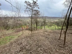Mihaesti - Sat Draghici, teren intravilan, cu o suprafață generoasă de 7.280 mp - imagine 9
