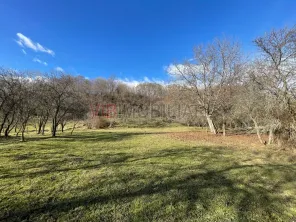 Mihaesti - Sat Draghici, teren intravilan, 7.280 mp - imagine 4