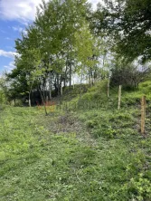 Mihaesti - Sat Draghici, teren intravilan, cu o suprafață generoasă de 7.280 mp - imagine 9