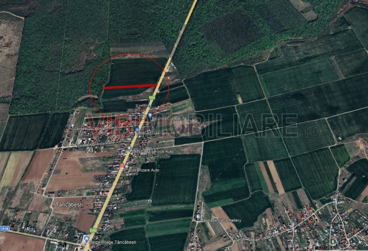 Ciolpani - Dn1 Stradal, teren intravilan, suprafata 4.676 mp - imagine 1