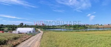 Teren Intravilan Construibil pe Malul Lacului – Balotești, Strada Lacului - imagine 3
