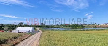 Teren Intravilan Construibil pe Malul Lacului – Balotești, Strada Lacului - imagine 3