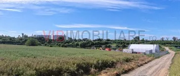 Teren Intravilan Construibil pe Malul Lacului – Balotești, Strada Lacului - imagine 2