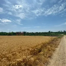 Balotesti - teren 4000 mp cu deschidere la lac - imagine 5