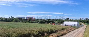 Teren Intravilan Construibil pe Malul Lacului – Balotești, Strada Lacului - imagine 2