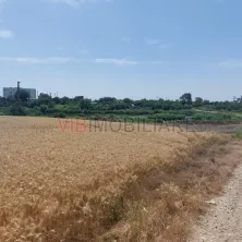 Balotesti - teren 4000 mp cu deschidere la lac - imagine 4