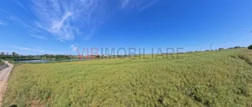 Teren Intravilan Construibil pe Malul Lacului – Balotești, Strada Lacului - imagine 4